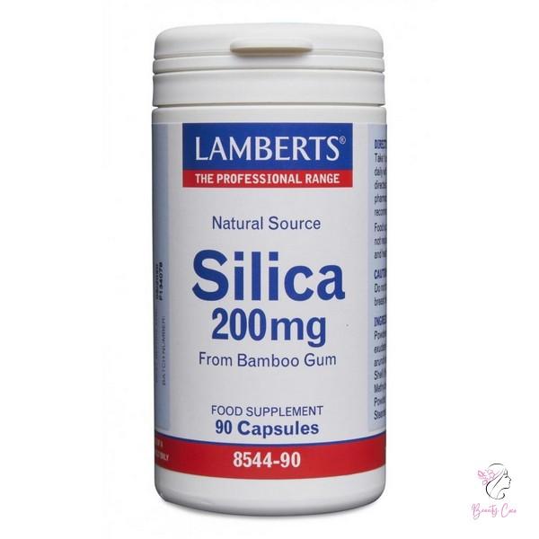 silica-9