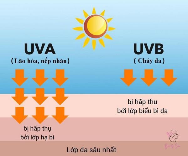 uva-uvb-uvc-12