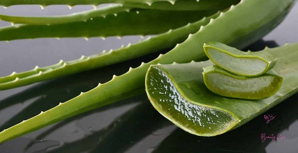 Aloe Barbadensis Leaf Extract