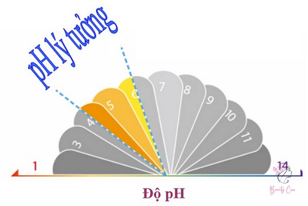 Bình thường, độ pH tự nhiên của da, do các axit béo trong lớp nhờn tự nhiên trên da quyết định, dao động từ 4 đến 6,5.